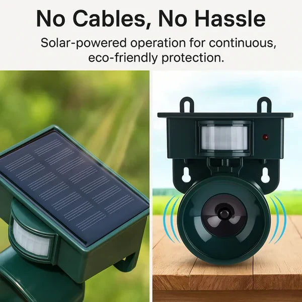 Bird Repeller Motion-Activated Adjustable Sound & Sensitivity