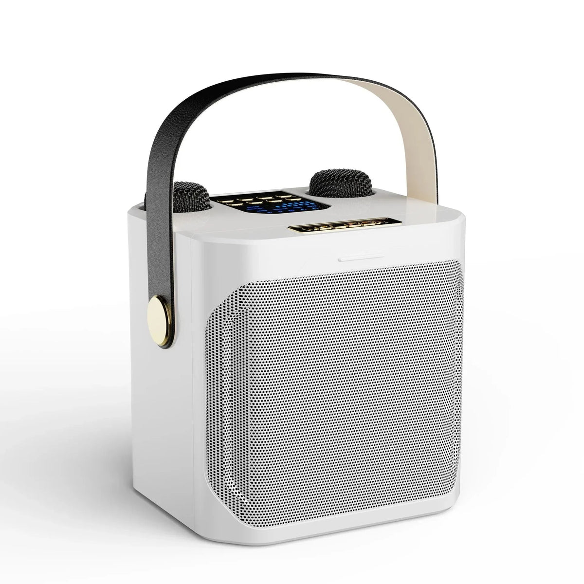 Portable Karaoke Speaker Dual Mic 8-Hour Battery