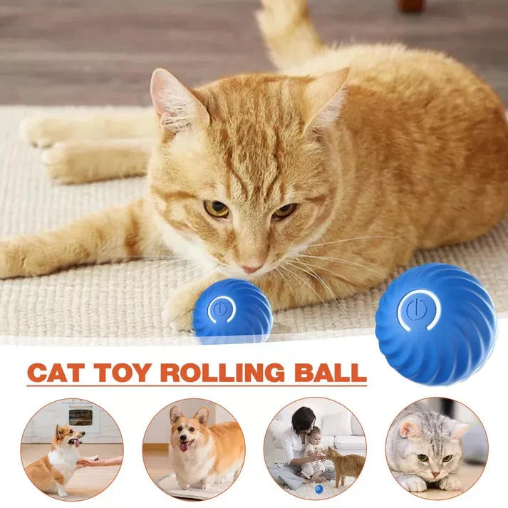 Rolling Ball Toy Automatic Motion USB Rechargeable