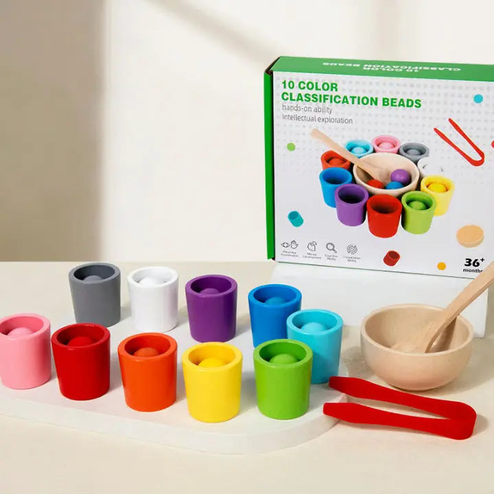 Sorting Toy Wooden Color Matching Set