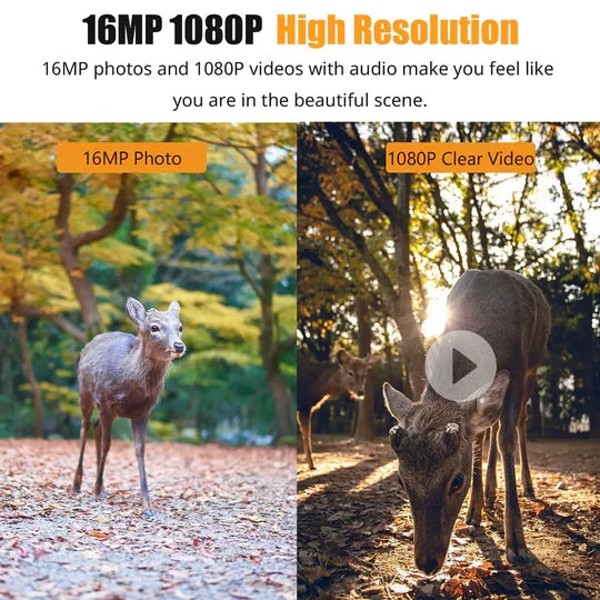 Trail Camera 1080P Night Vision & Motion Detection Weather-Resistant