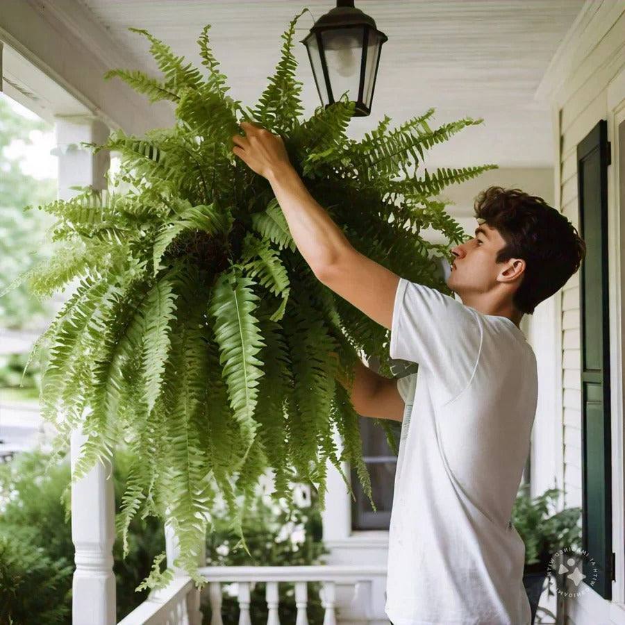 Artificial Boston Fern Lifelike UV-Resistant & Waterproof