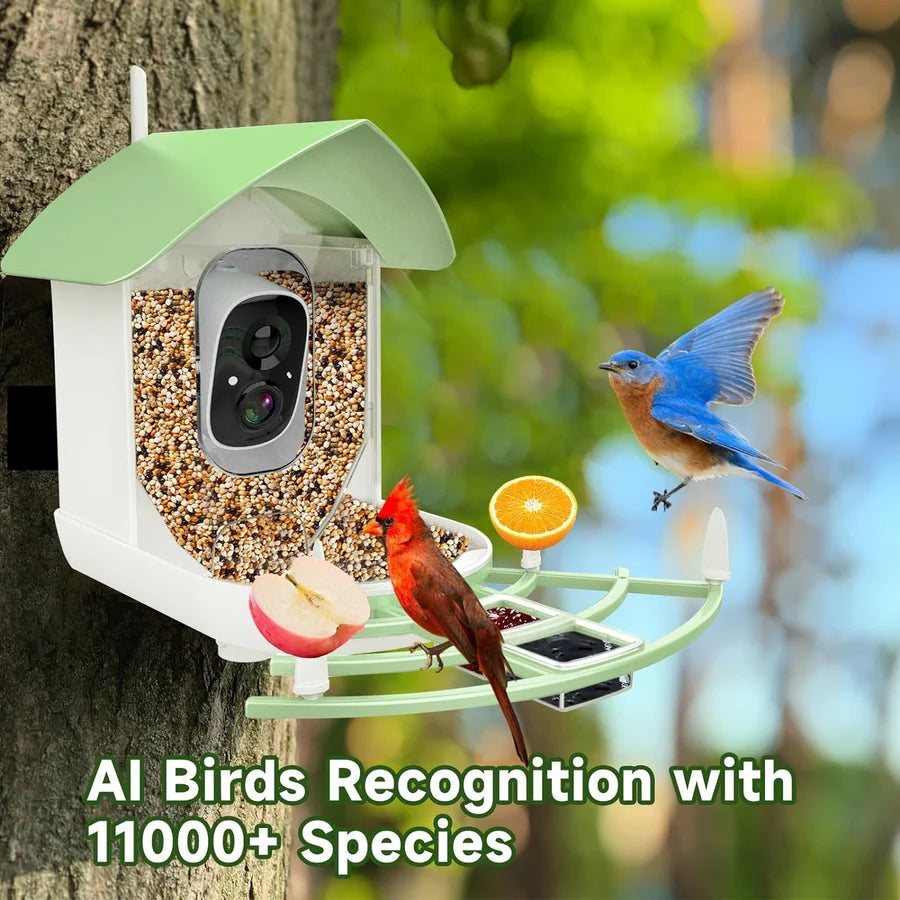 Bird Feeder Camera Solar-Powered 1080p AI ID
