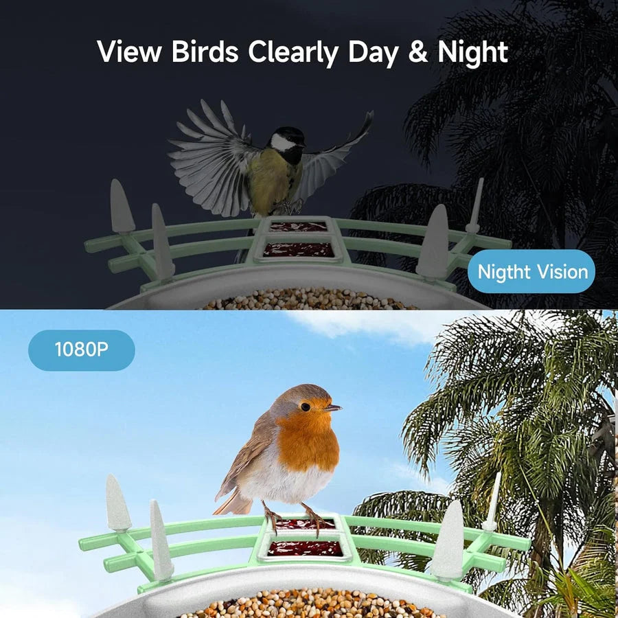 Bird Feeder Camera Solar-Powered 1080p AI ID