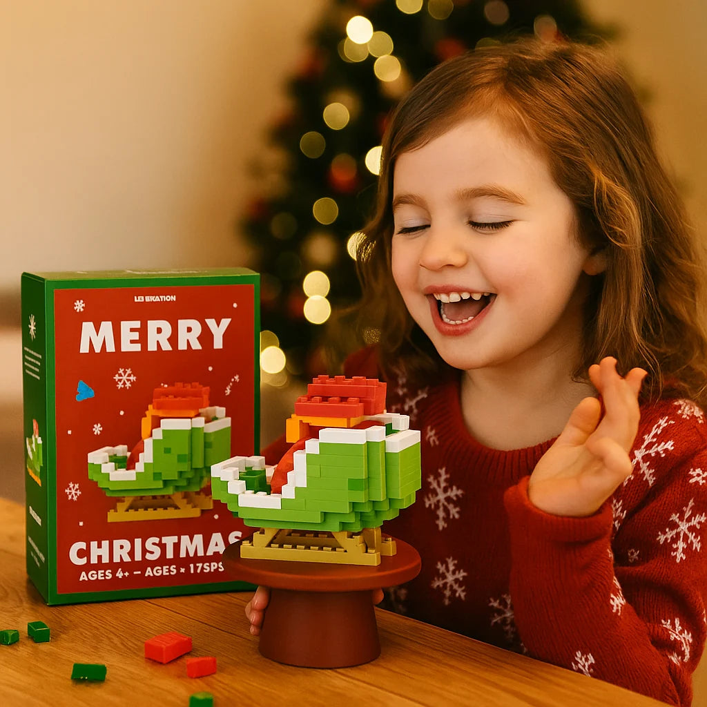Building Block Set Interlocking Reusable Illustrated Instructions