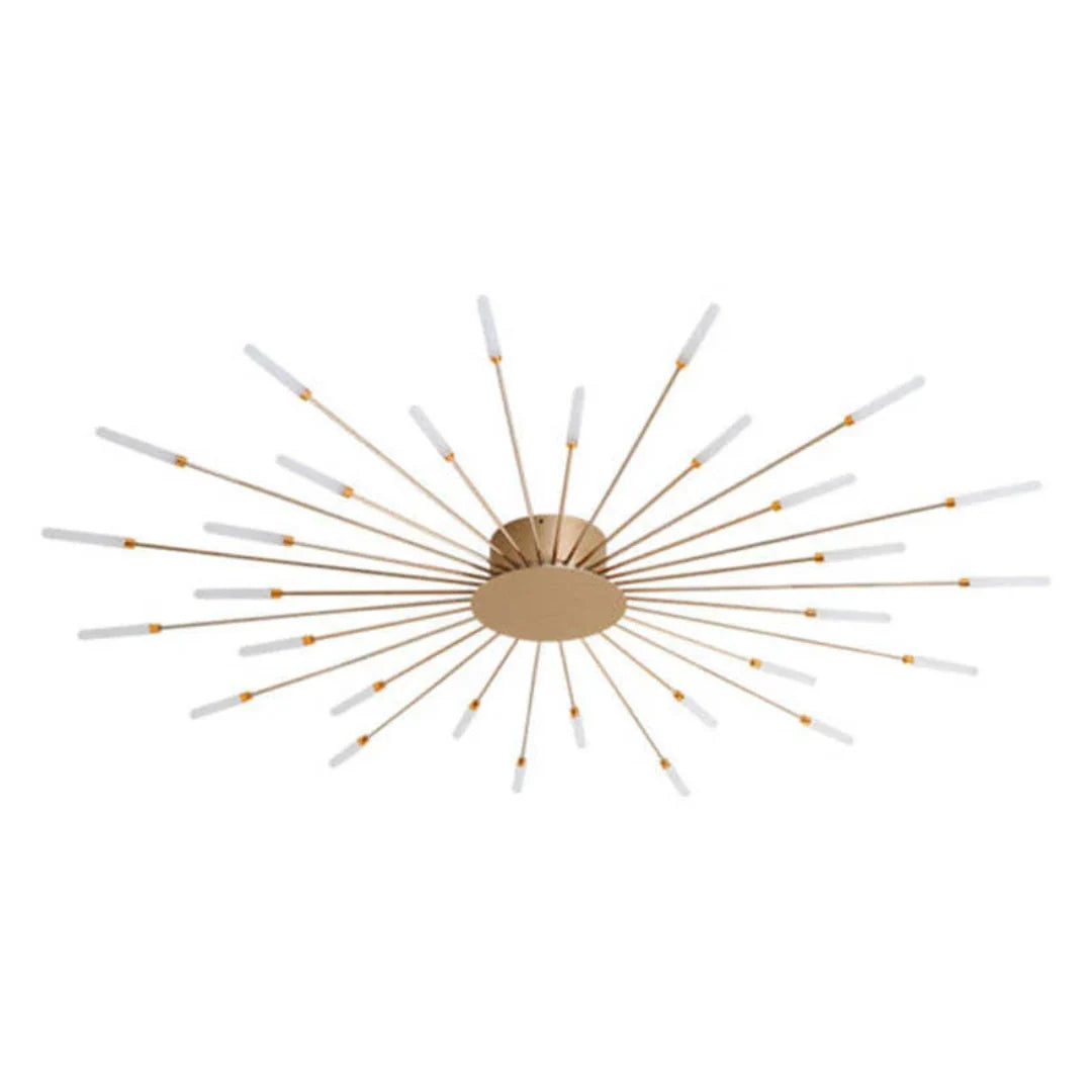 Ceiling Light Integrated LED Even Coverage Adjustable Lamps