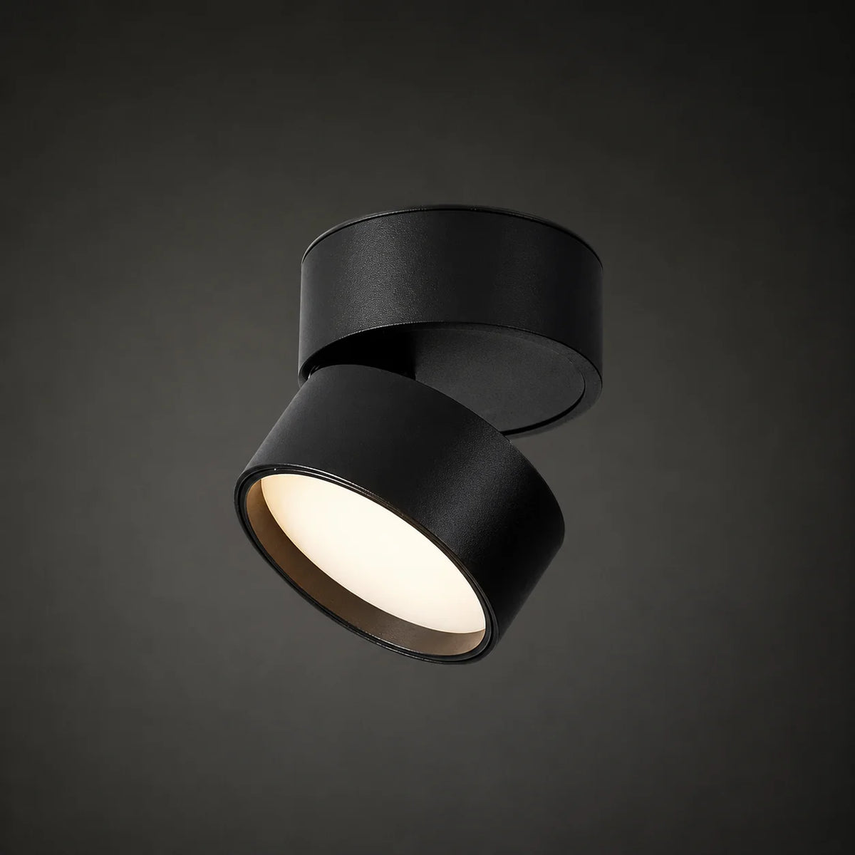 Ceiling Spotlight Adjustable Tilt & Rotate Integrated LED