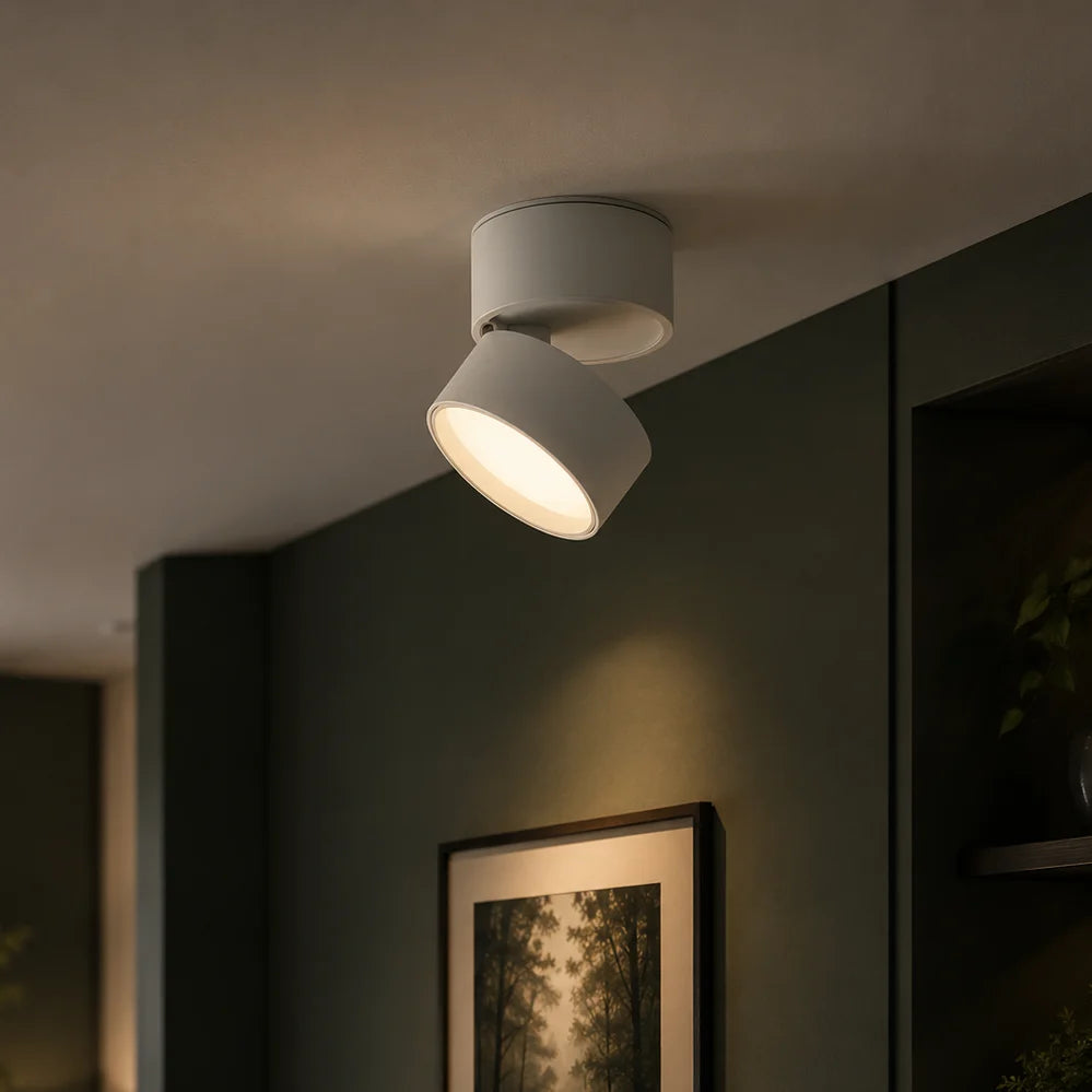 Ceiling Spotlight Adjustable Tilt & Rotate Integrated LED
