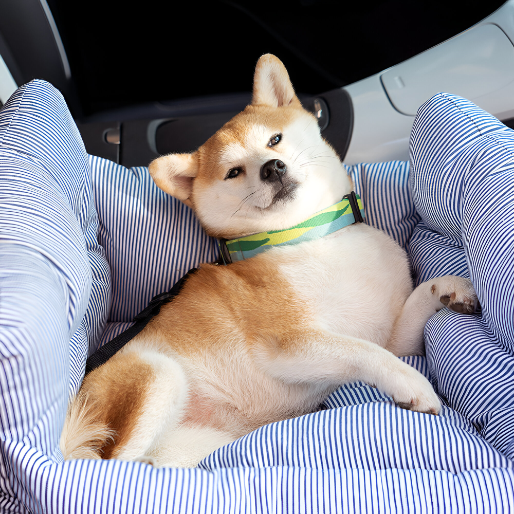 Dog Car Seat Elevated Padded Seatbelt Attachment