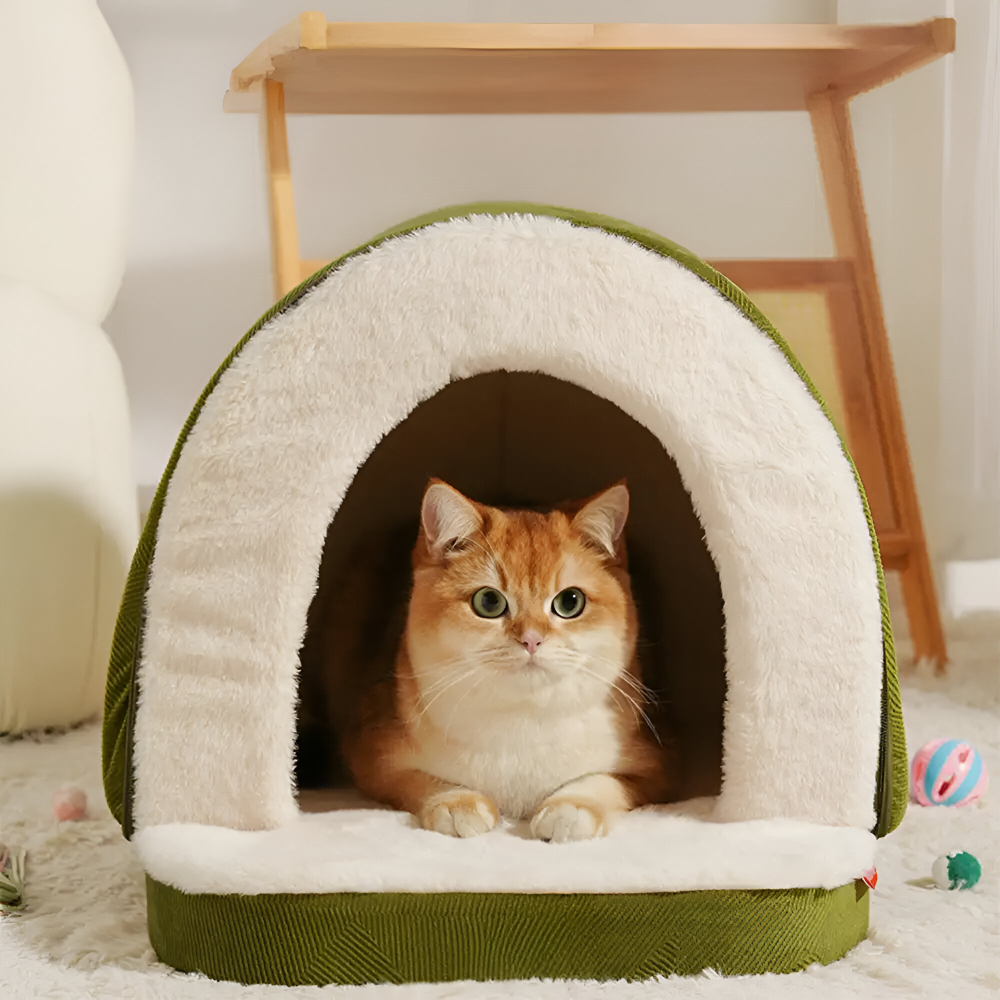 Dog & Cat Bed 2-in-1 Convertible Orthopedic Foam Machine-Washable