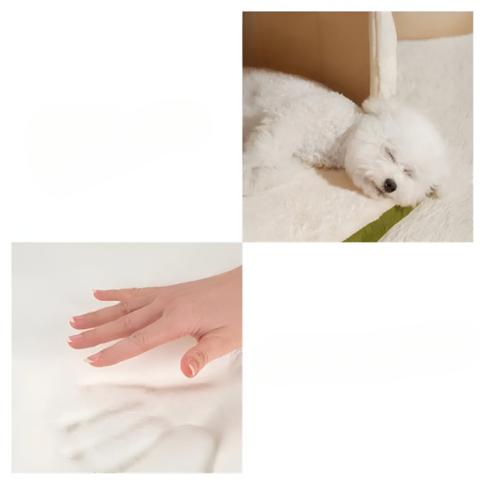 Dog & Cat Bed Convertible Orthopedic Plush Washable Cover