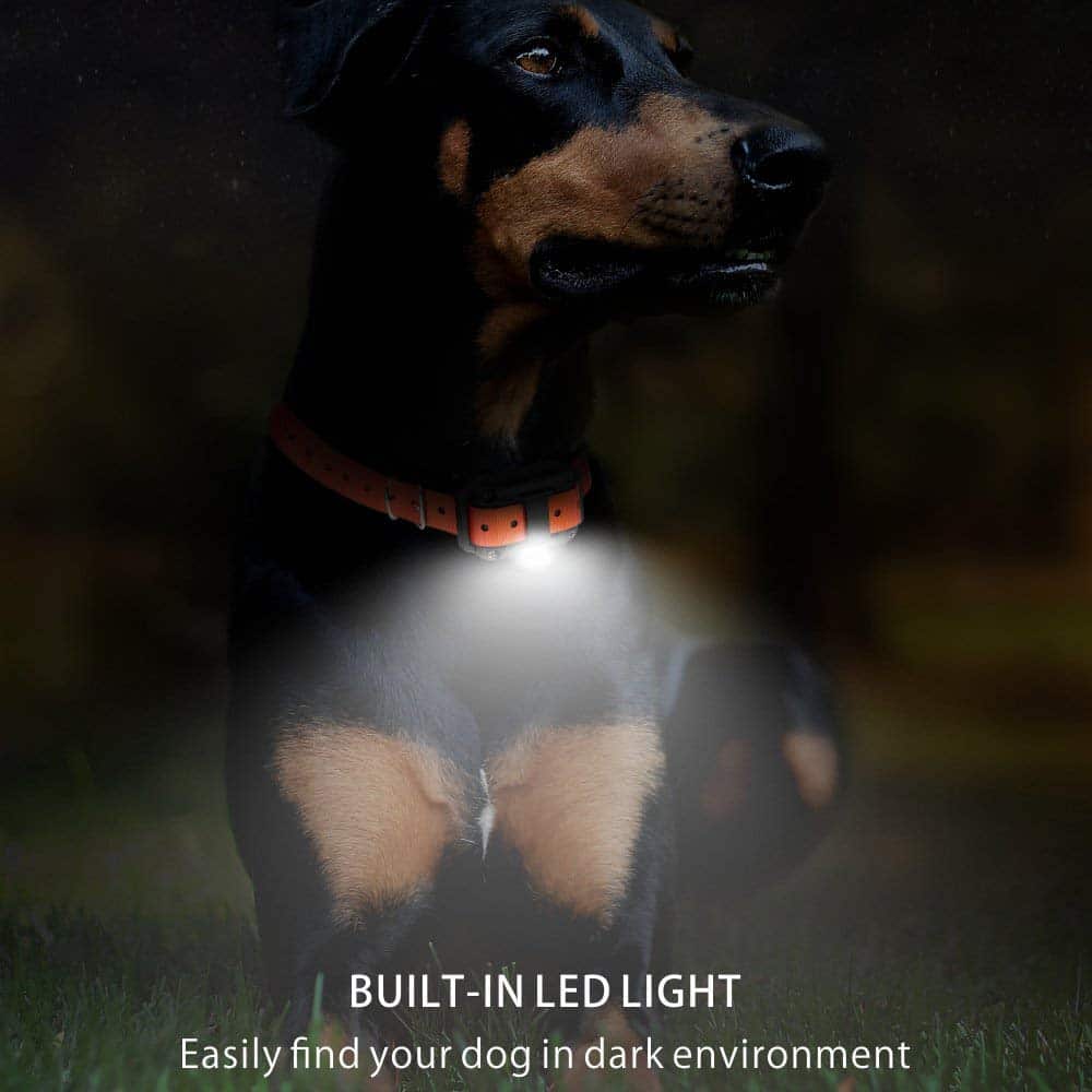 Dog Training Collar 0.5-Mile Range Waterproof & Rechargeable