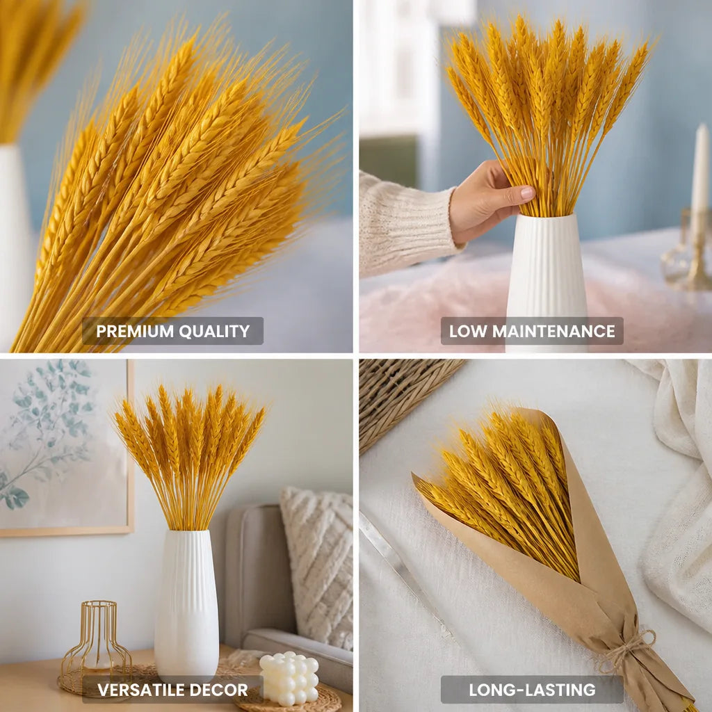 Dried Wheat Bundle Hand-Tied Low Maintenance