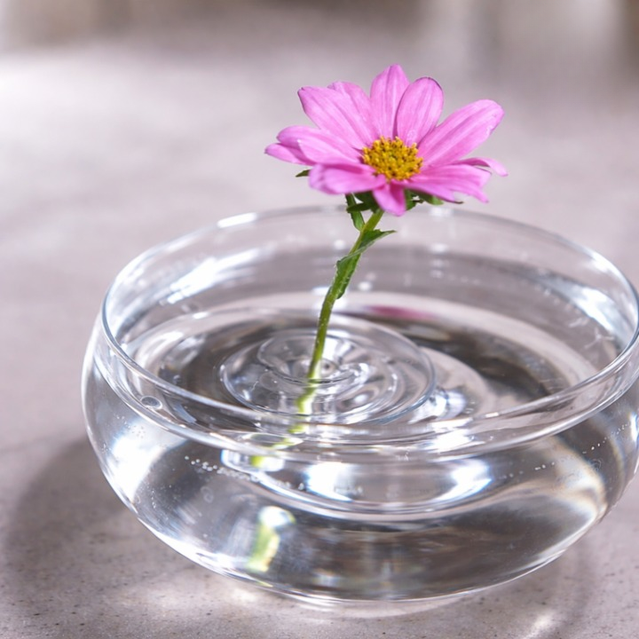 Floating Flower Holder Crystal-Clear Set of 10