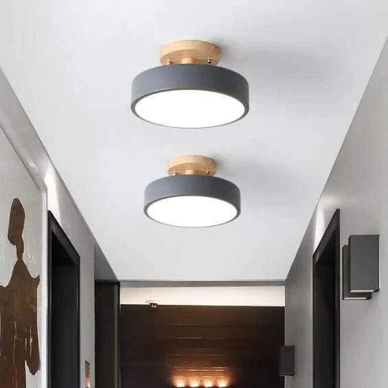 Flush Mount Ceiling Light Integrated LED Adjustable Color Temperature