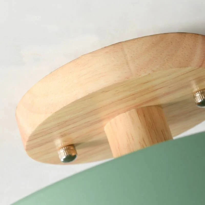 Flush Mount Ceiling Light Integrated LED Adjustable Color Temperature