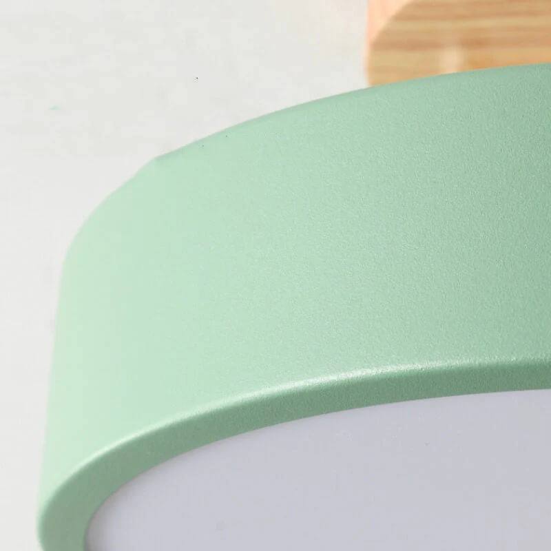 Flush Mount Ceiling Light Integrated LED Adjustable Color Temperature