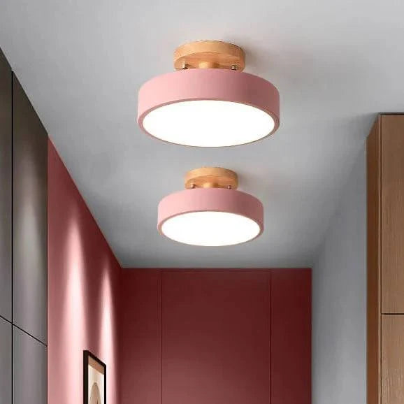 Flush Mount Ceiling Light Integrated LED Adjustable Color Temperature