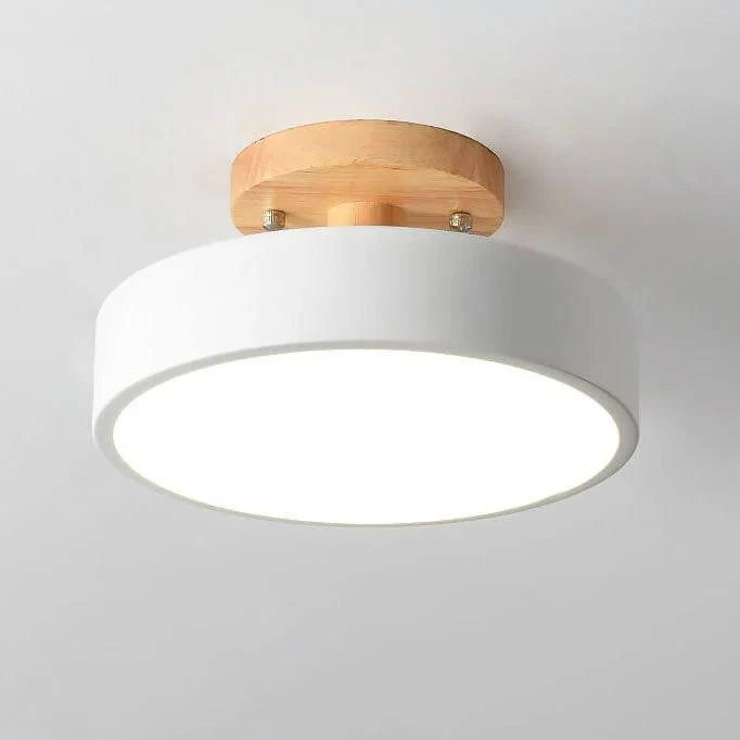 Flush Mount Ceiling Light Integrated LED Adjustable Color Temperature