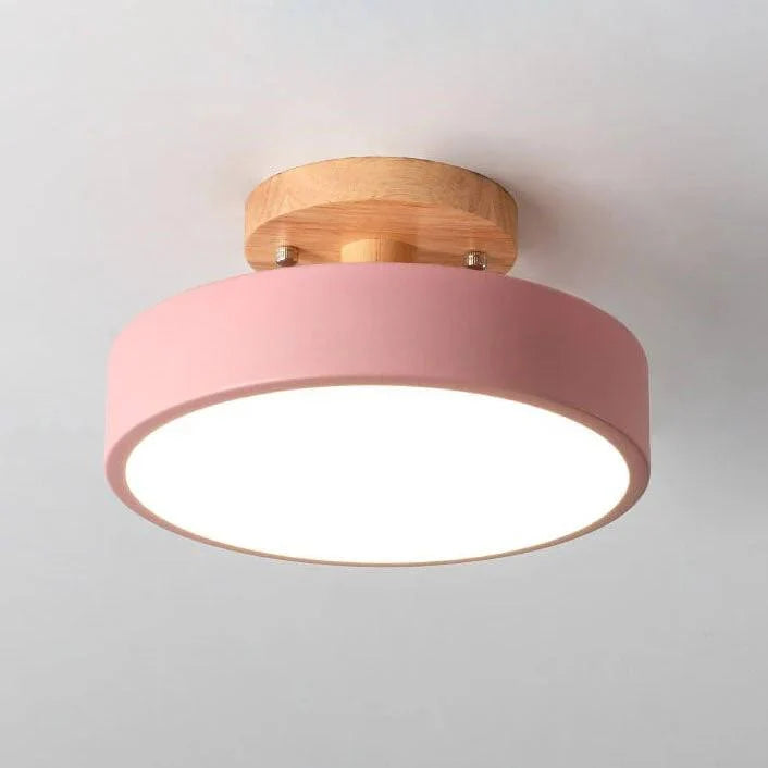 Flush Mount Ceiling Light Integrated LED Adjustable Color Temperature