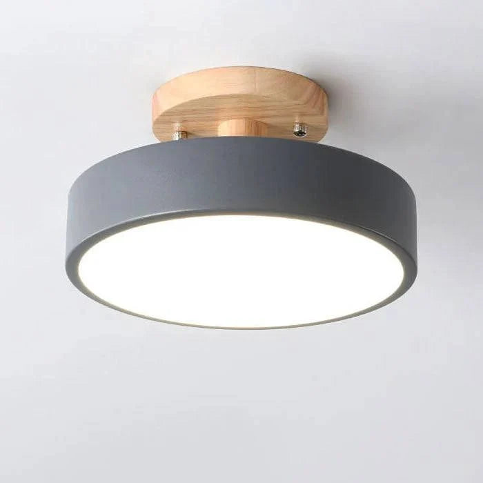 Flush Mount Ceiling Light Integrated LED Adjustable Color Temperature