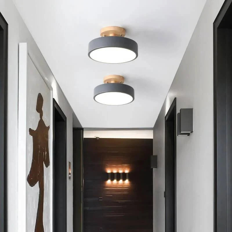 Flush Mount Ceiling Light Integrated LED Adjustable Color Temperature