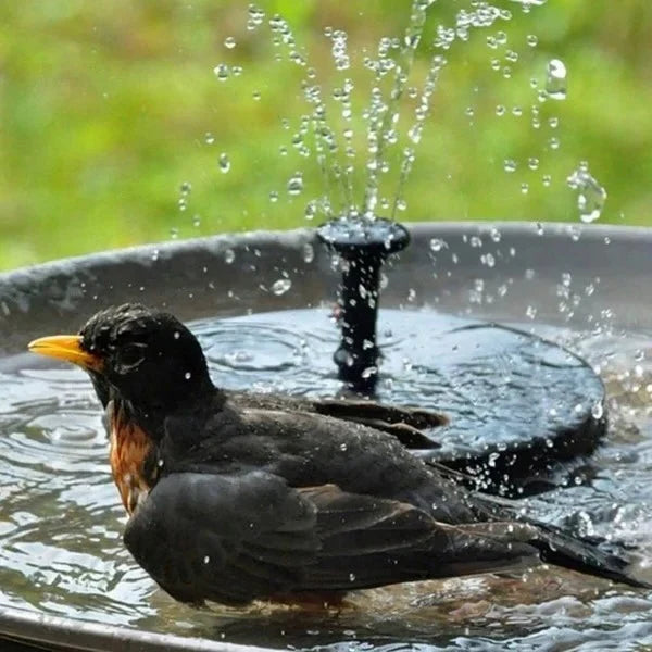 Garden Fountain Pump Solar-Powered Fits Birdbaths & Small Ponds
