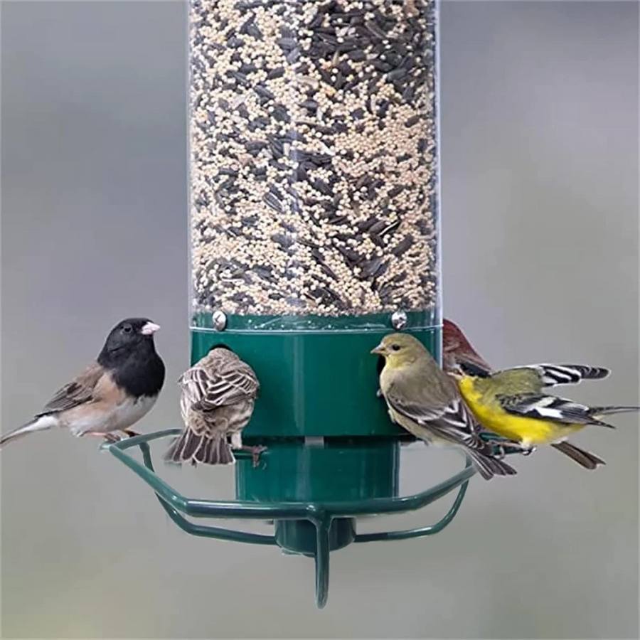 Hanging Bird Feeder Squirrel-Proof Polycarbonate & Metal 5 lb