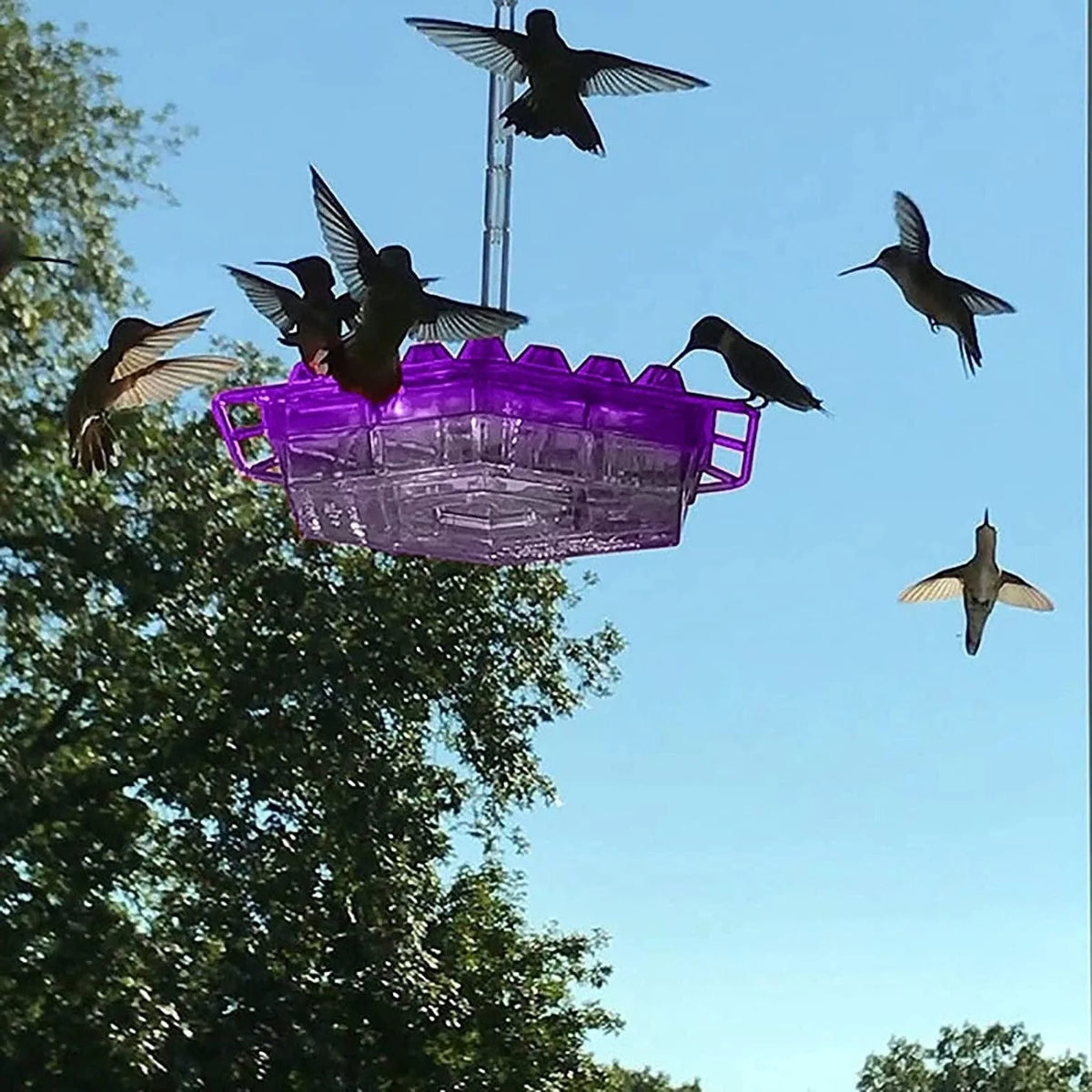 Hanging Hummingbird Feeder Bee-Resistant 30 Feeding Ports Dishwasher-Safe