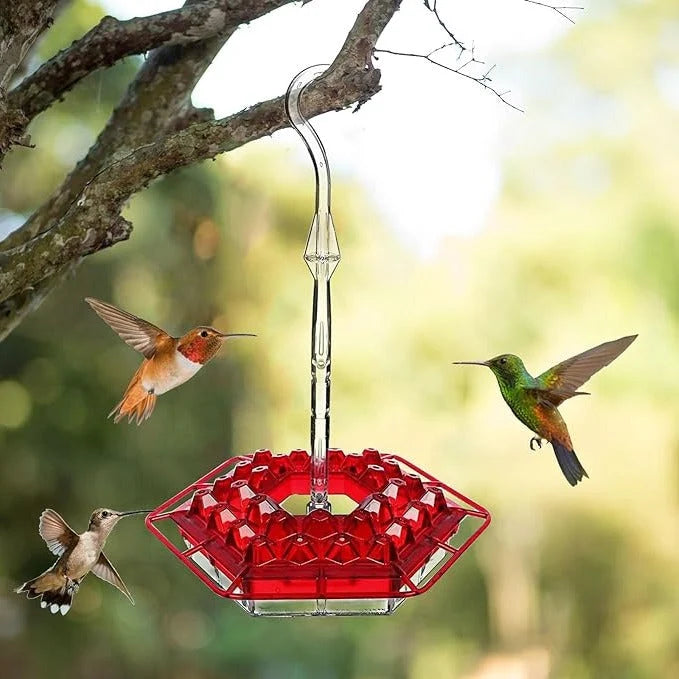 Hummingbird Feeder Built-In Ant Moat Leak-Proof 30 Feeding Ports