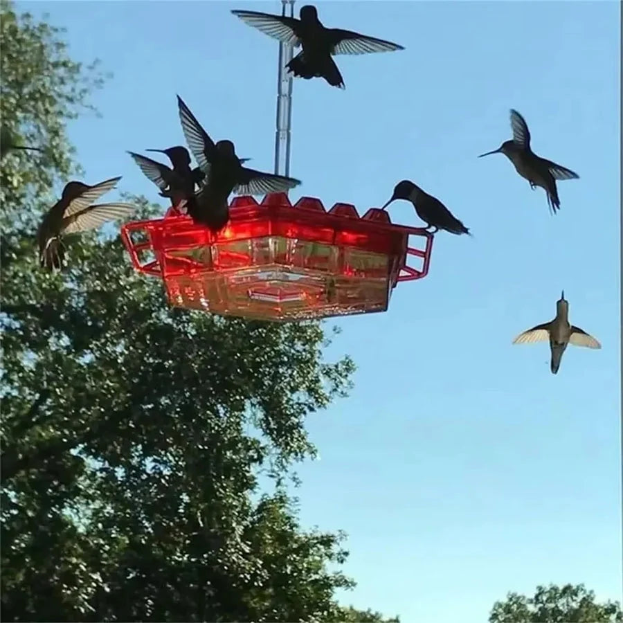 Hummingbird Feeder Built-In Ant Moat Leak-Proof 30 Feeding Ports