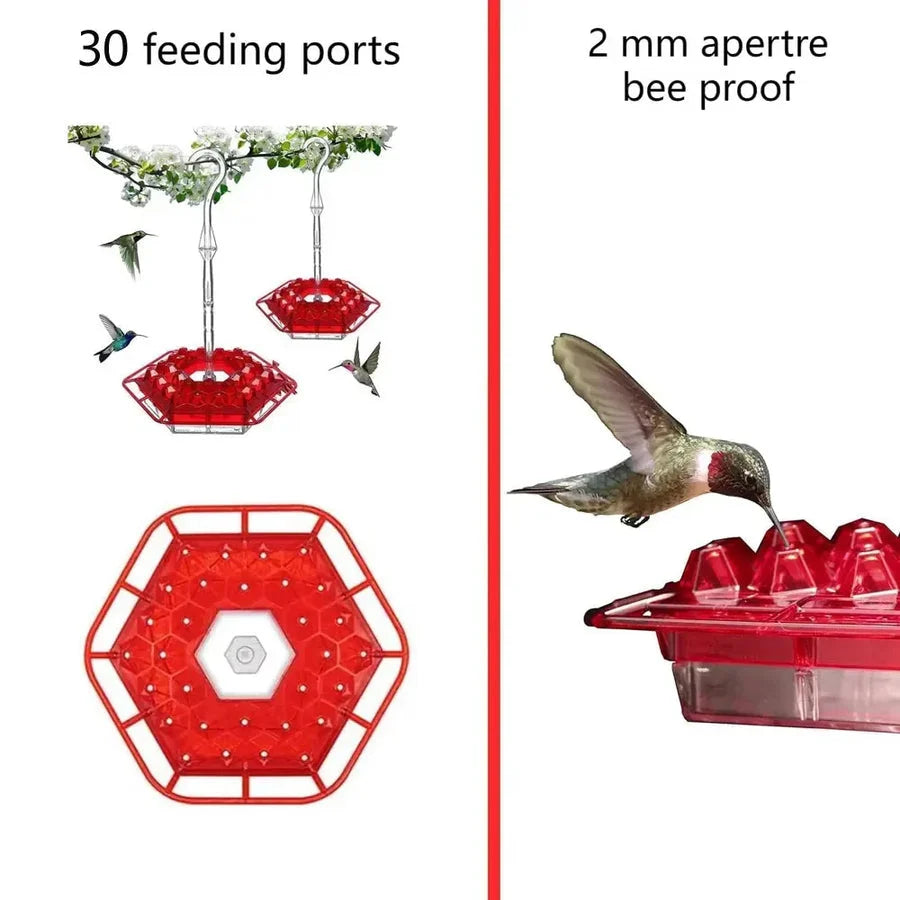 Hummingbird Feeder Built-In Ant Moat Leak-Proof 30 Feeding Ports