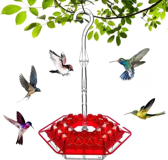 Hummingbird Feeder Built-In Ant Moat Leak-Proof 30 Feeding Ports