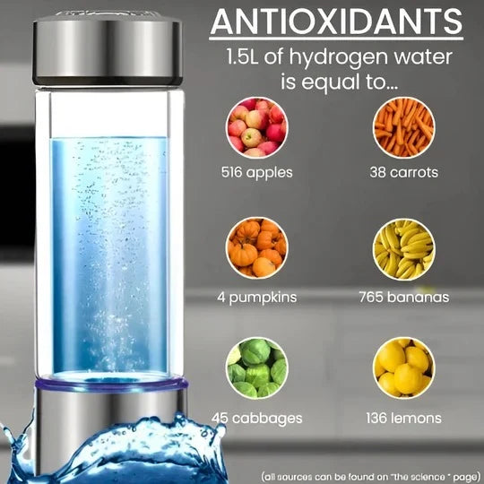 Hydrogen Water Bottle Built In Electrolysis USB Rechargeable 10.1 Oz