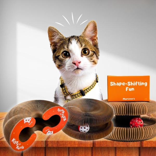 Interactive Cat Toy Random Motion Scratch-Resistant & Non-Toxic