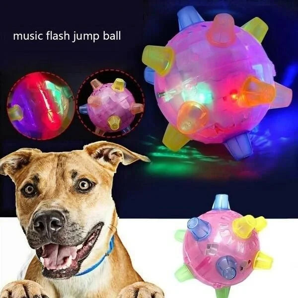 Interactive Dog Ball Motion-Activated LED & Rechargeable