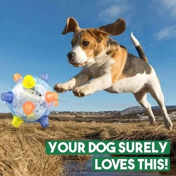 Interactive Dog Ball Motion-Activated LED & Rechargeable