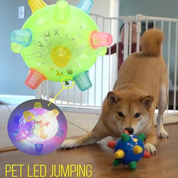 Interactive Dog Ball Motion-Activated LED & Rechargeable