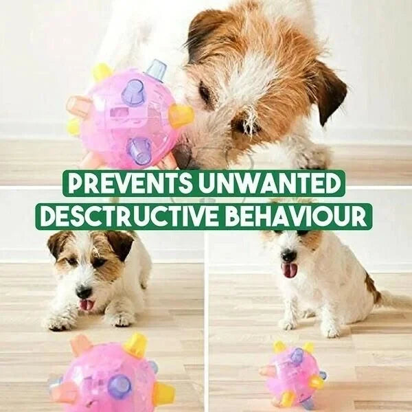 Interactive Dog Ball Motion-Activated LED & Rechargeable