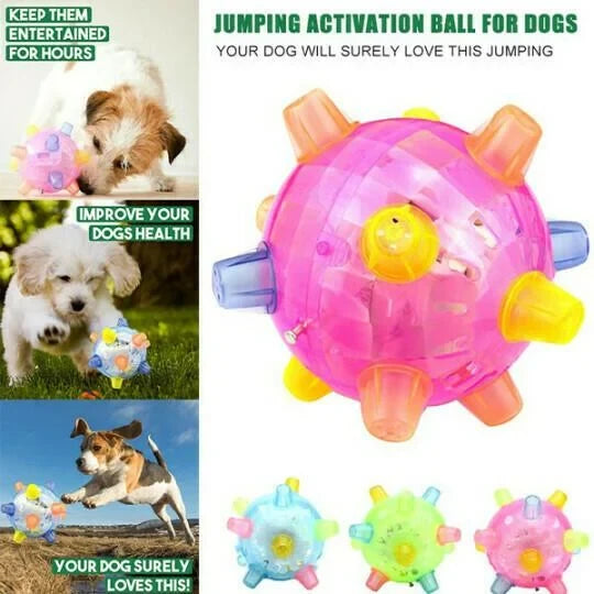Interactive Dog Ball Motion-Activated LED & Rechargeable