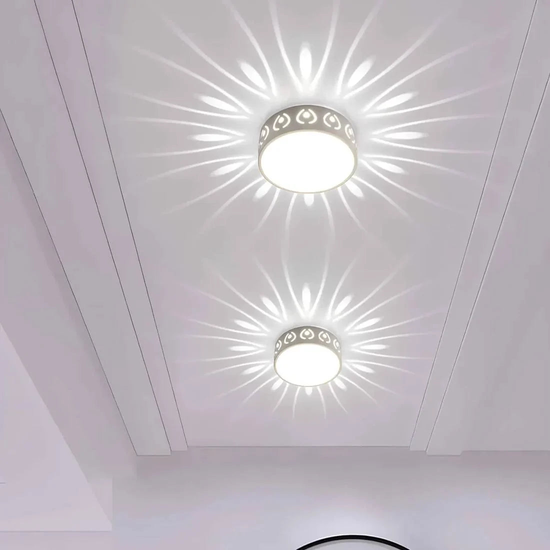 LED Ceiling Light Switchable Warm & Cool White