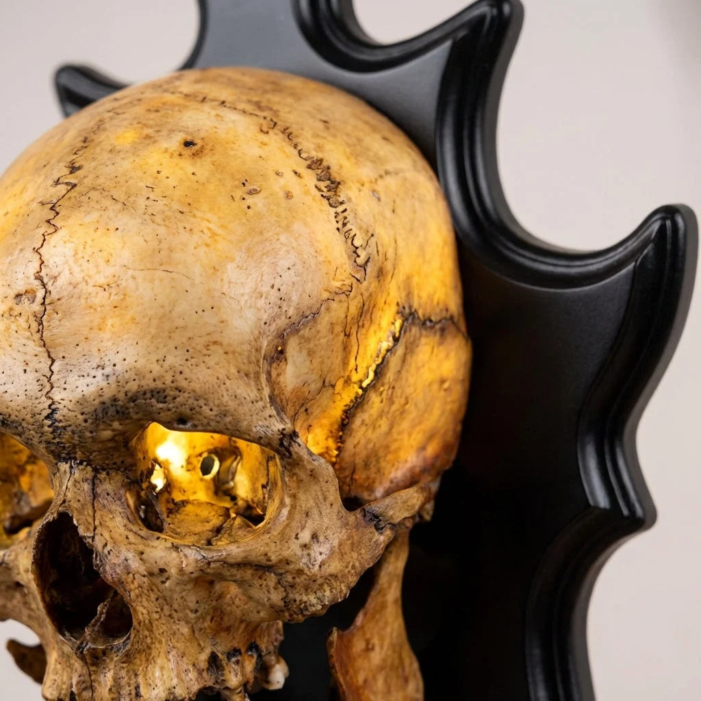 Nightlight Skull Sculpted Resin Warm LED & Sound