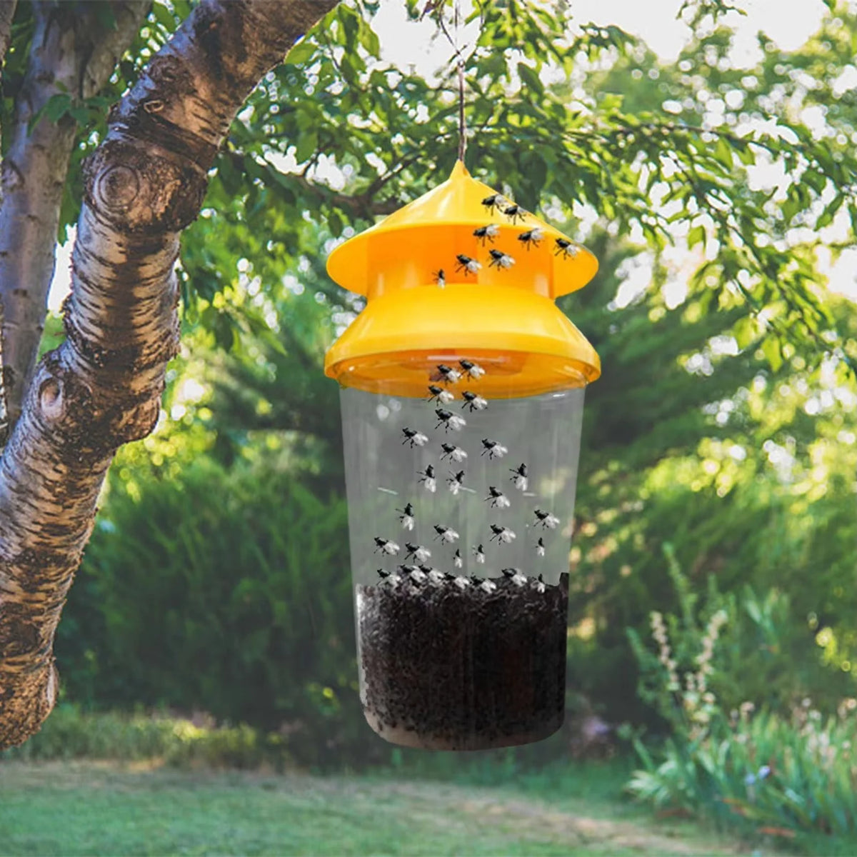 Outdoor Fly Trap Reusable Hanging Weather-Resistant