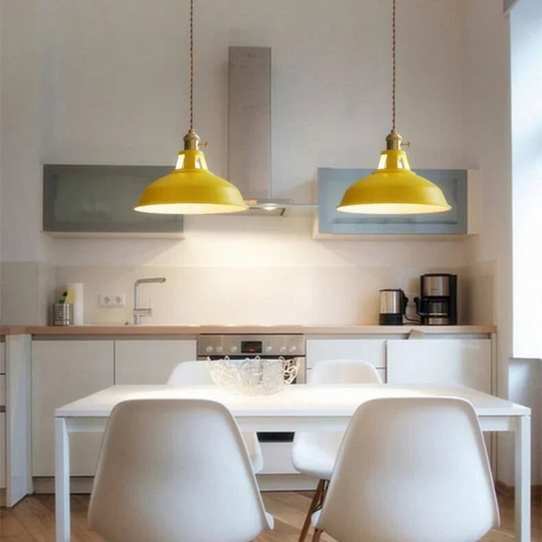 Pendant Light Barn Shade Painted Iron Adjustable Chain