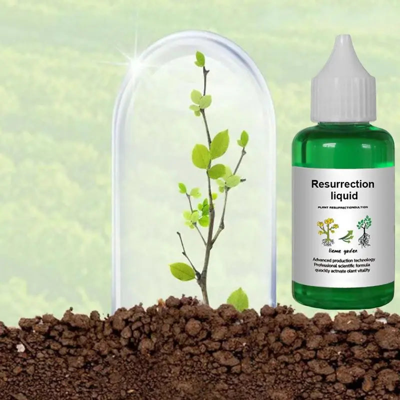 Plant Activator Concentrated Liquid Root & Bloom Booster