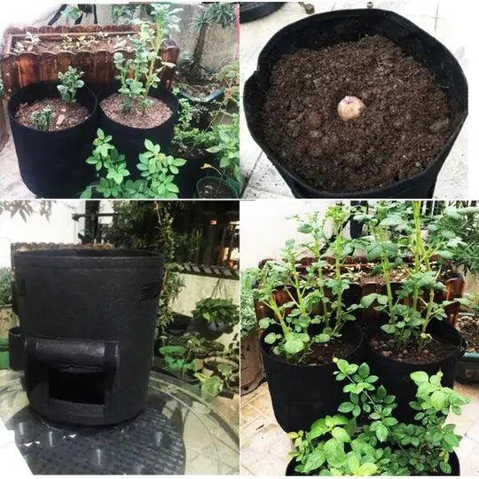 Planting Bag Side Harvest Flap Breathable Felt