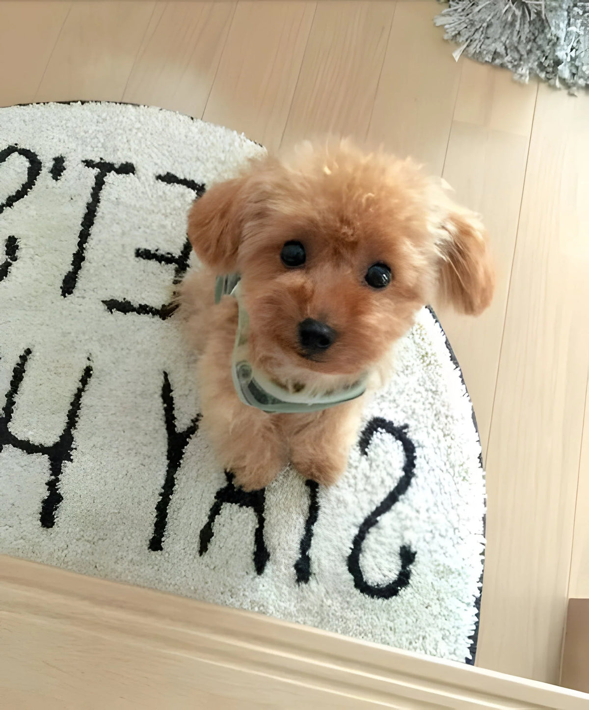 Plush Puppy Lifelike Weighted Filling Soft Synthetic Fur
