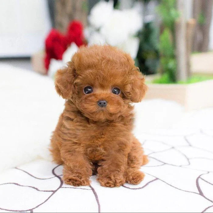 Plush Puppy Lifelike Weighted Filling Soft Synthetic Fur