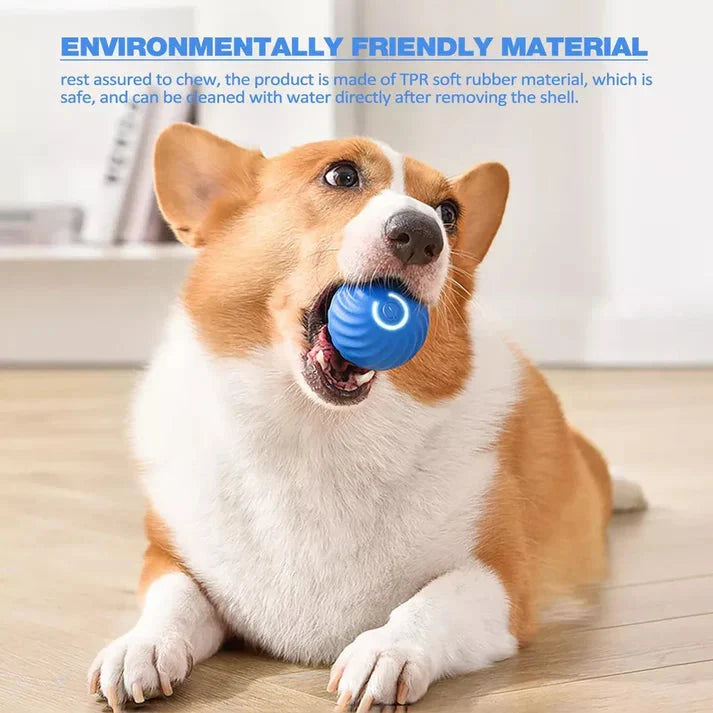 Rolling Ball Toy Automatic Motion USB Rechargeable