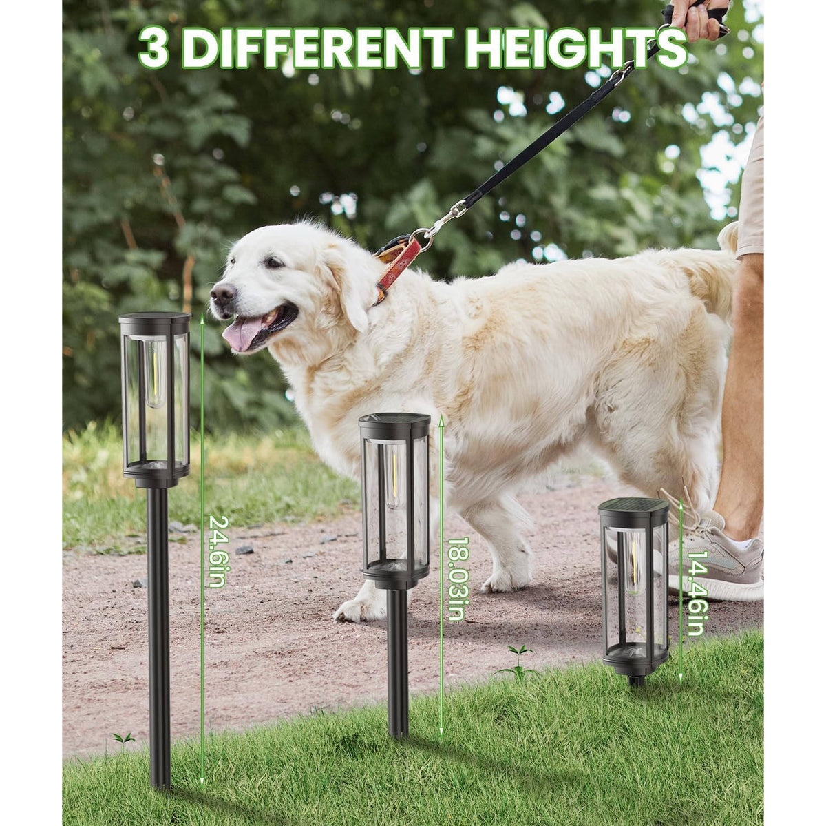 Solar Pathway Lights Dusk-to-Dawn 12-Hour Weatherproof